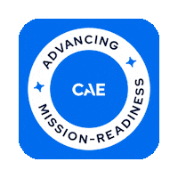 Security Defense Sticker by CAE
