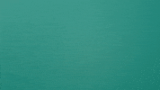Swag GIF by L.OL. Surprise!