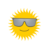 Sun Sunglasses Sticker by Holler