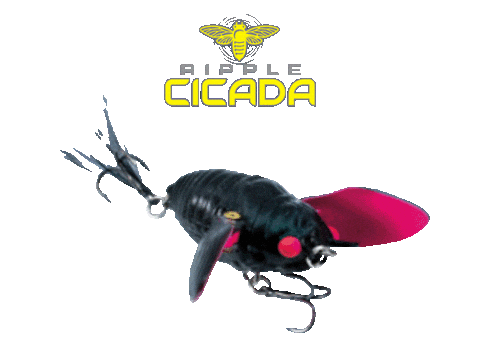 Lure Sticker by Chasebaits