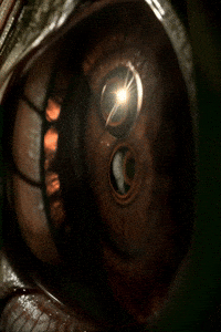 Dream Satisfy GIF by Aleksey Efremov