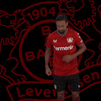 Happy Goal GIF by Bayer 04 Leverkusen