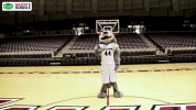 mvc mvcmascotmadness GIF by Missouri Valley Conference