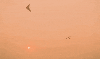 Film Sunset GIF
