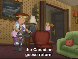 as told by ginger nicksplat GIF