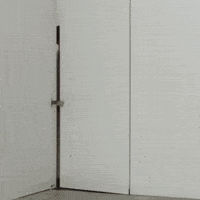Ffw GIF