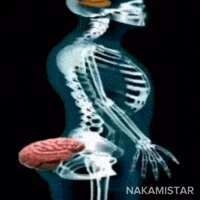 Skeleton Brain GIF