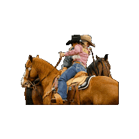 Cactus Rodeo Sticker by Bob Feist Invitational