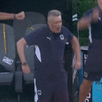 Domenec Torrent GIF