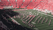 college football wisconsin GIF by uwmadison
