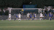 Save Ncaa Soccer GIF by gamecocksonline