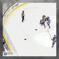 Ahlbruins GIF by Providence Bruins