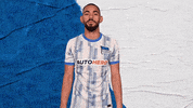 Bundesliga Berlin GIF by Hertha BSC