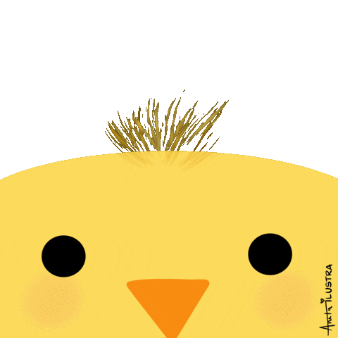 Blinking Pio Pio Sticker