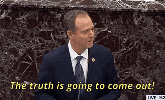 Adam Schiff GIF
