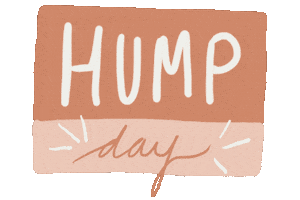 Wednesday Hump Day Sticker