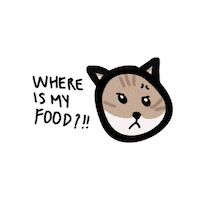 Hungry Cat Sticker