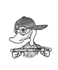 Kachnahleda Sticker by Feo Patito
