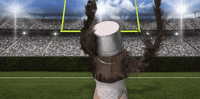 super bowl 2016 GIF by Mountain Dew