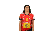 Handball Spain Sticker by EHF