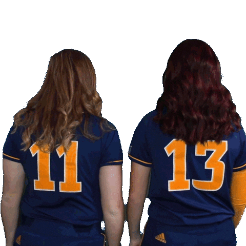 Softball Gomocs Sticker by Chattanooga Mocs