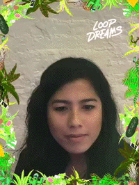 loopdreams by Loop Dreams GIF Booth