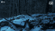 Hungry High Jump GIF by Apple TV+