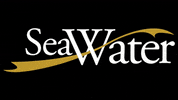 seawaterofficial summer holiday luxury boat GIF