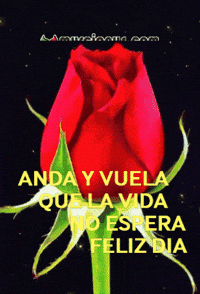 Amigos No Espera GIF by Murcianys LLC