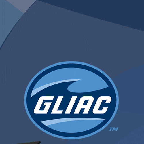 Wayne State Graduation GIF by GLIAC