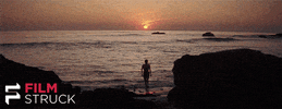 turner classic movies swimming GIF by FilmStruck