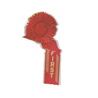 First Place Sport Sticker by madebywar