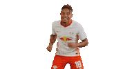 Tik Tok Moves Sticker by RB Leipzig