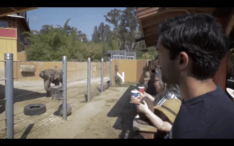 GIF by Arun Considers