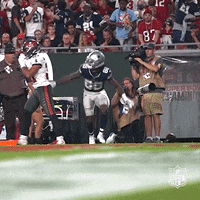 Happy Dallas Cowboys GIF by NFL