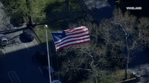 viceland GIF by CYBERWAR
