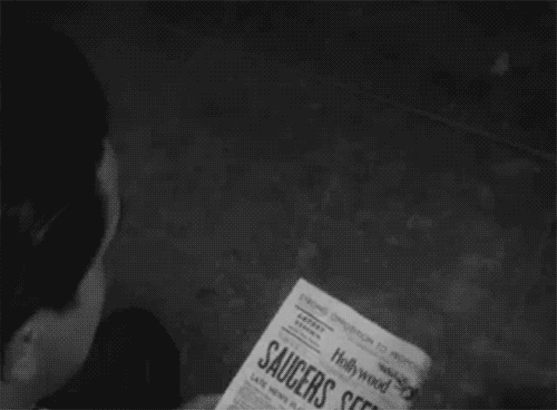 hive-mind crow GIF