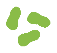 Semilla Sticker