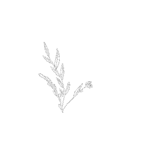 Flower Sticker
