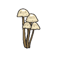 Mushroom Sticker by Fungi Academy