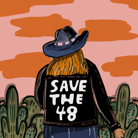 Voting Rights Cowboy GIF by Creative Courage