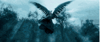 walt disney studios maleficent GIF by Disney
