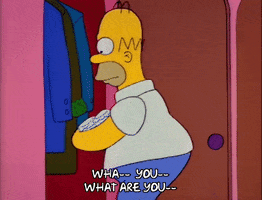 Season 2 Episode 13 GIF by The Simpsons