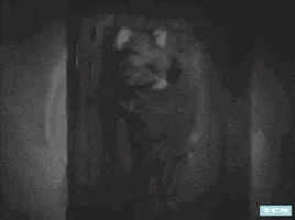 tcm sci-fi iconic tcm silent film GIF