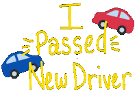 Driving School New Driver Sticker by 911 Driving School - Hilton Head