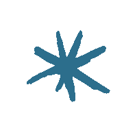 Star Brushstroke Sticker by KOSMOS Experimentieren