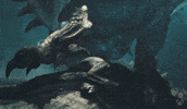 Monster Hunter GIF by Xbox