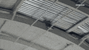GIF by FLOPHOUSE