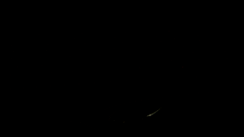 finale GIF by Fox TV