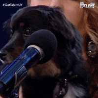 Gottalentuy GIF by Canal 10 Uruguay